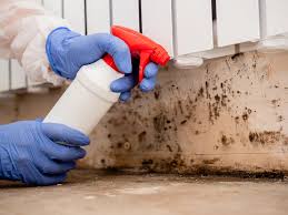 Professional Mold Removal & Remediation in Orosi, CA